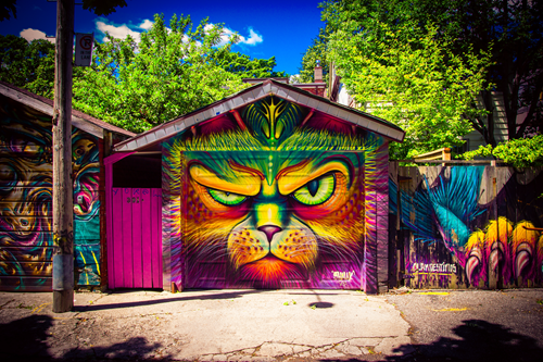 badass grafitti of cat on garage